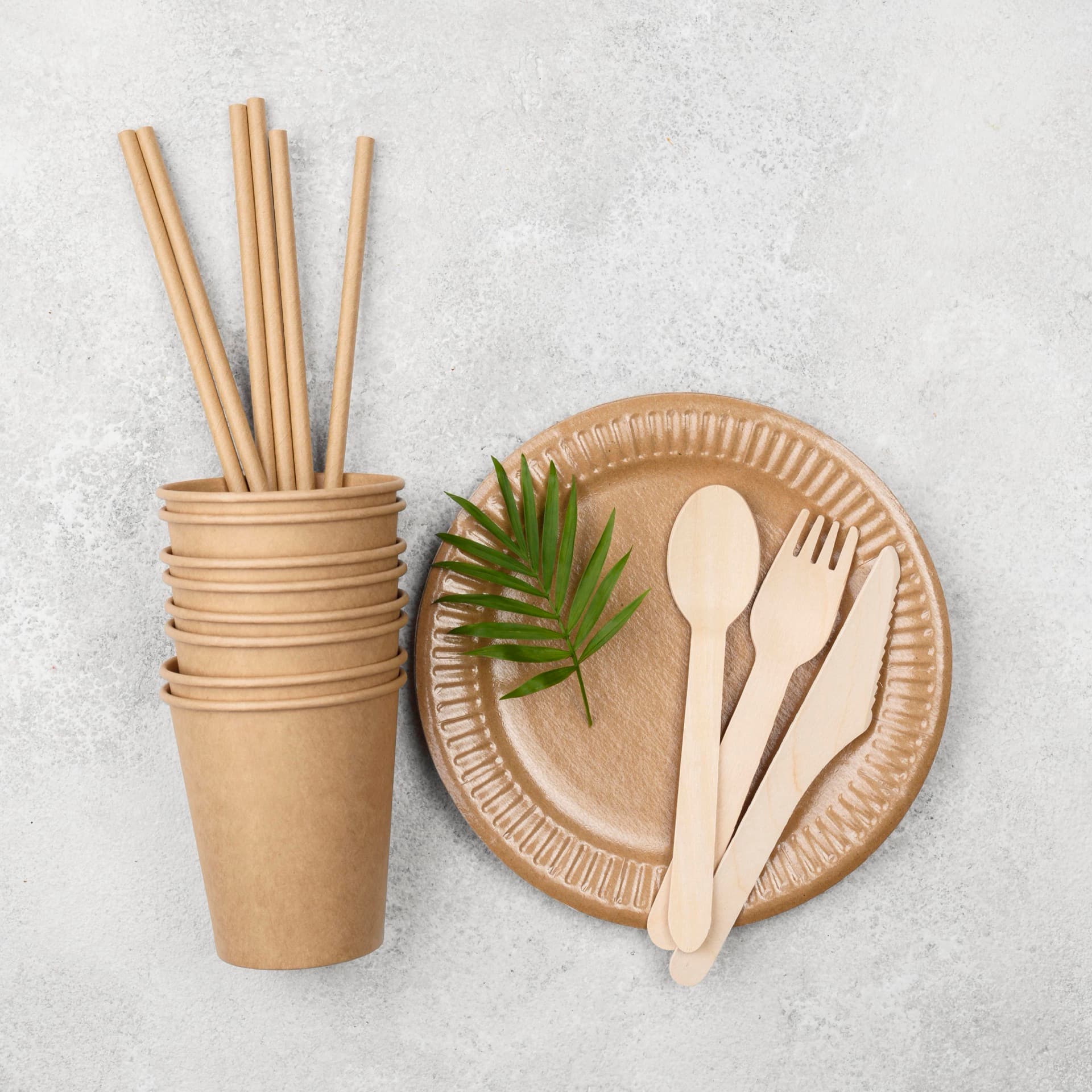 Bagasse Products - Sustainable and eco-friendly disposable tableware.