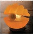 Pearl Shell Shaped Lamp