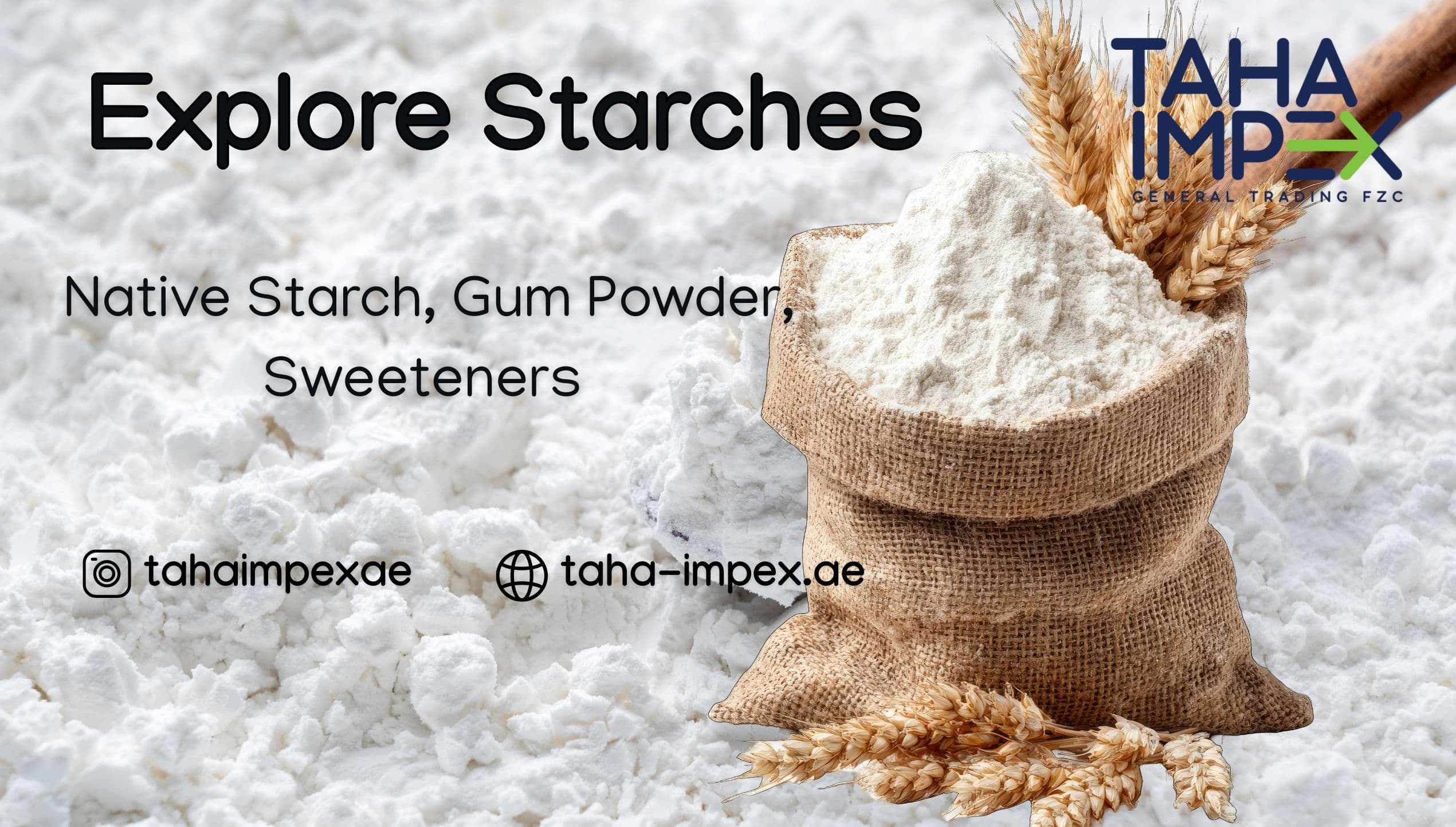 Close-up of high-quality starch grains including corn, potato, tapioca, and wheat, used in food, pharmaceutical, and industrial applications