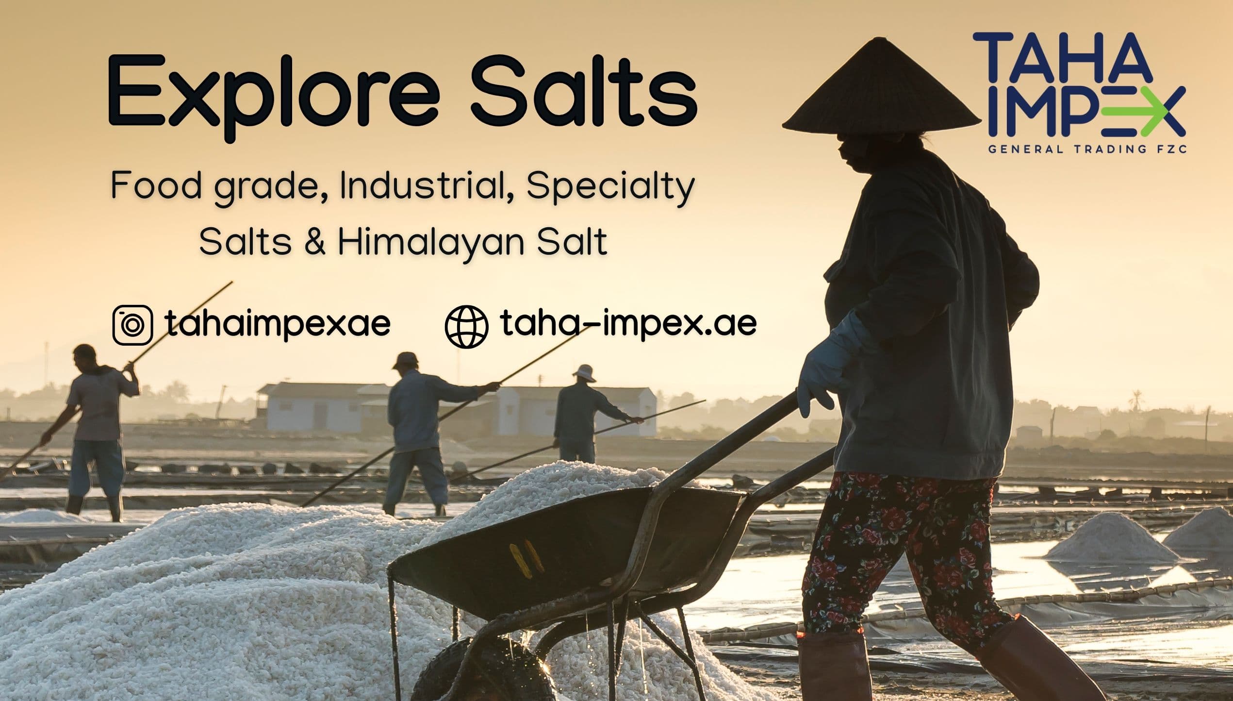 “High quality edible and industrial salt from Taha Impex displayed in clean white crystals for global food and manufacturing use.”